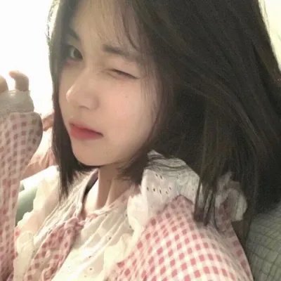 鱼与猫